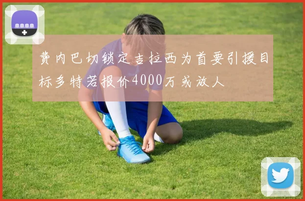 费内巴切锁定吉拉西为首要引援目标多特若报价4000万或放人